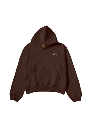 BROWN MADE IN PAK HOODIE (v2)